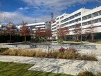 photo_low247347