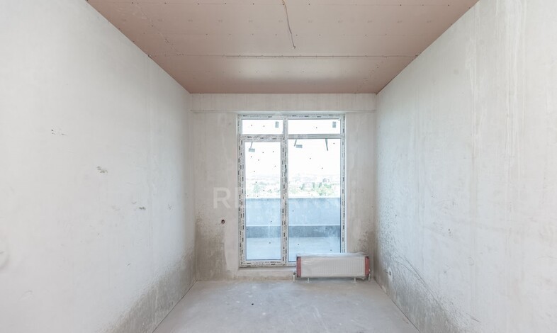 photo230680
