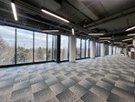 photo_low226448