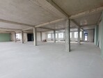 photo_low236335