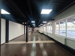 photo_low236846