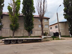photo_low238942