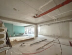 photo_low239764