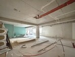 photo_low239788