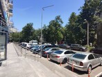 photo_low240094