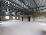 photo_low240726