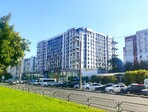 photo_low242489