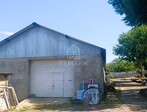 photo_low242698