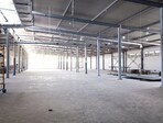 photo_low244388