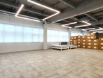 photo_low244552