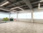 photo_low244553