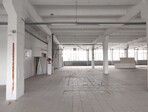 photo_low245170