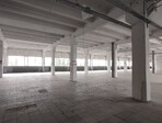 photo_low245169