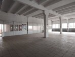 photo_low245168