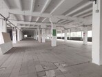 photo_low245173
