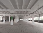 photo_low245184