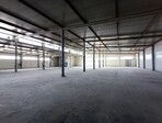 photo_low245524