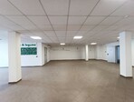 photo_low245553