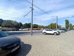 photo_low245559