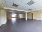 photo_low245565