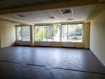 photo_low245561