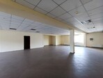 photo_low245563