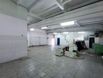 photo_low245674