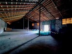 photo_low245701