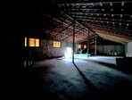 photo_low245698
