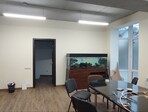 photo_low246379