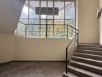 photo_low247313