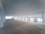 photo_low247542
