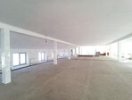 photo_low247543
