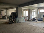 photo_low247995