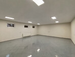 photo_low248987