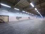 photo_low249451