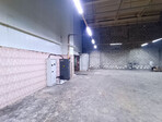 photo_low249452