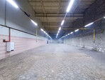 photo_low249450