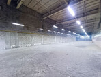 photo_low249449