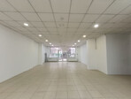 photo_low251673