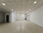 photo_low251675