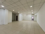 photo_low251676