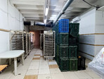 photo_low253051