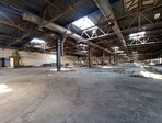 photo_low255545