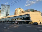 photo_low255839
