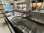 photo_low256304