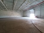 photo_low257518