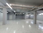 photo_low257537