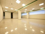 photo_low257872