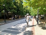 photo_low258727